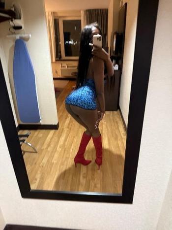 Ts Rihanna , 24  female escort, Denver